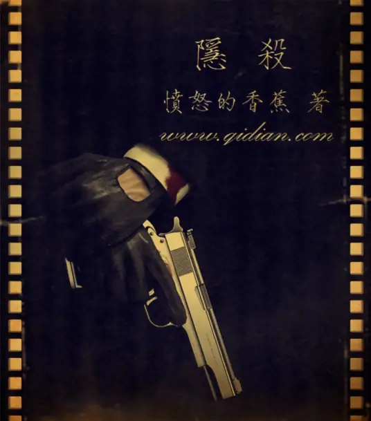 Hidden Assassin cover